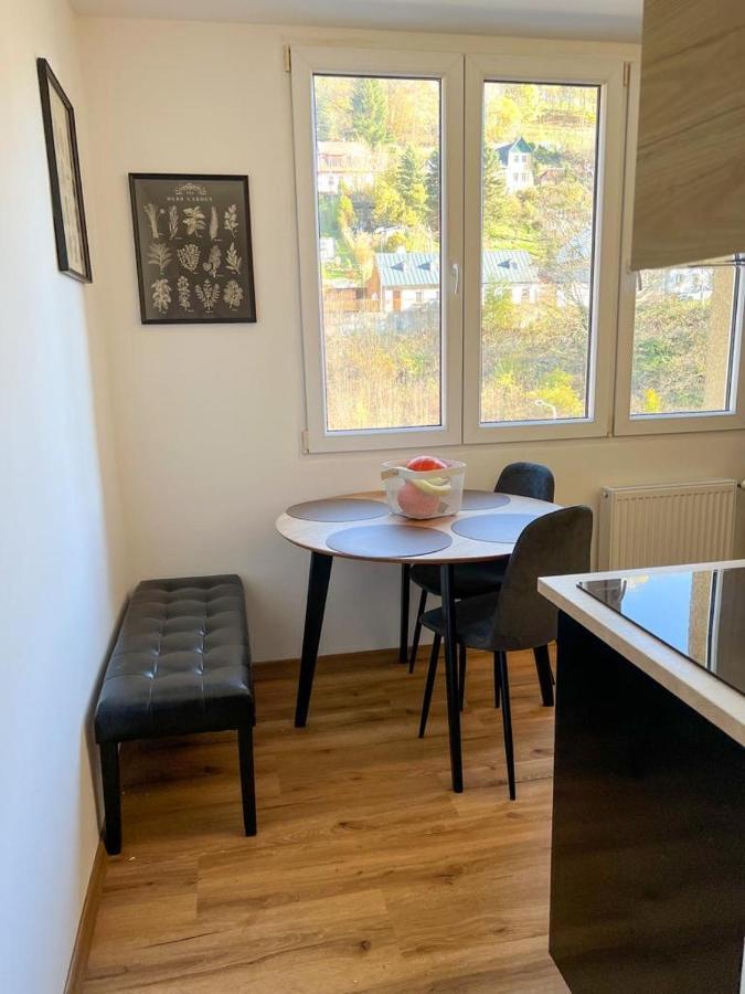 Apartman Visek Jáchymov Esterno foto