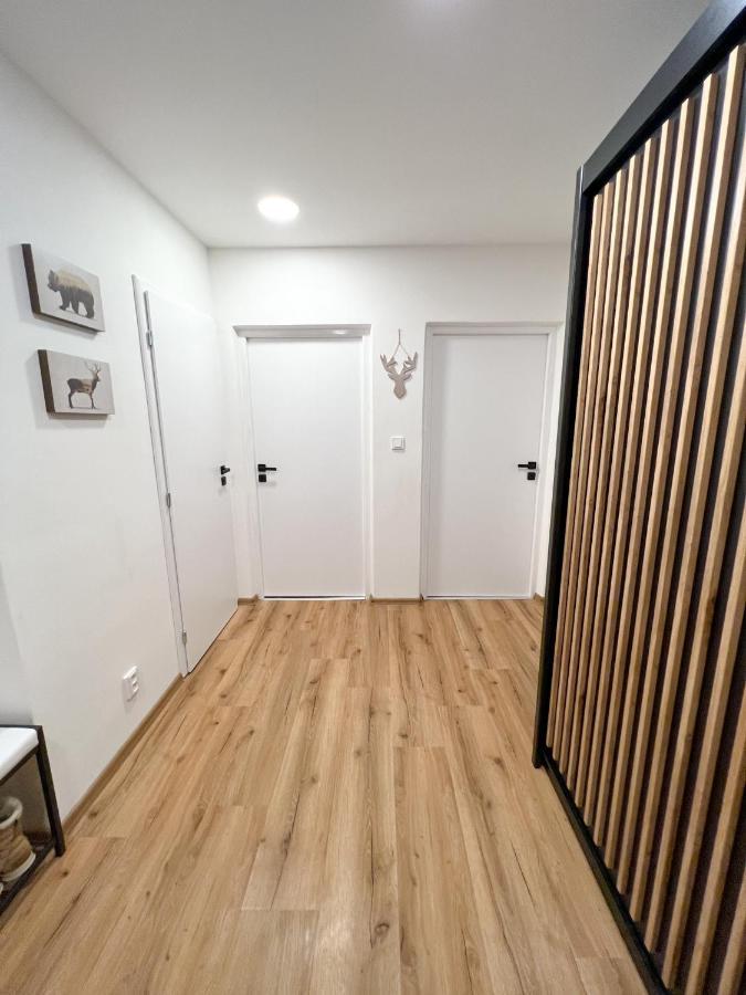 Apartman Visek Jáchymov Esterno foto