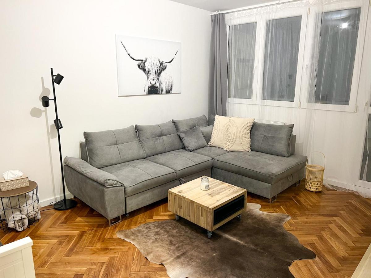 Apartman Visek Jáchymov Esterno foto