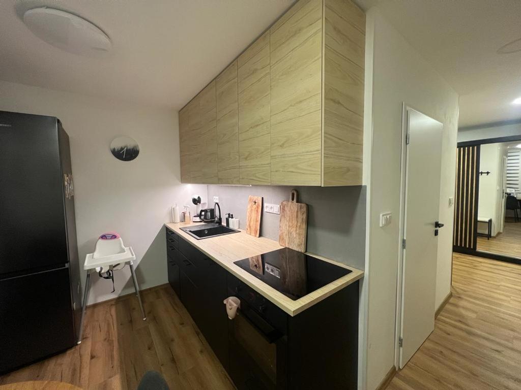 Apartman Visek Jáchymov Esterno foto